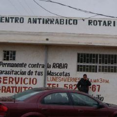 En breve iniciará remodelación de instalaciones del CMACC antes Antirrábico