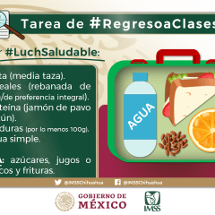 Recuerda IMSS mantener una “lonchera saludable” para beneficio de los escolares