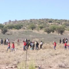 Reforestan el Cbta 90 con 2 mil 600 árboles