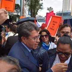 Acuerdos dejan fuera de agenda del Senado el aborto y matrimonios gays