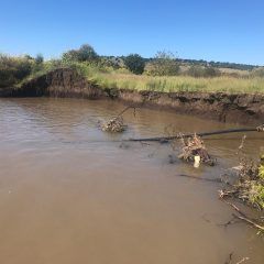 Repara municipio servicio de agua potable en Ejido La Quemada