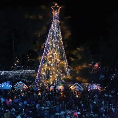 Cuauhtémoc 🎄 | Alcalde encabeza el encendido del árbol navideño