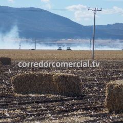 Destinará desarrollo rural mil 700 pacas de rastrojo a pequeños productores de ganado