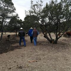 Impulsan municipio y estado proyectos sobre manejo integral de suelo y agua