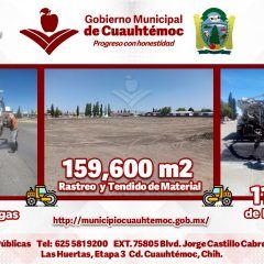 Sanea gobierno municipal casi mil 900 baches en 29 días