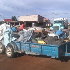 Llama CMACC a realizar limpieza de patios para evitar proliferación de garrapatas