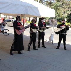 BRINDARÁ GOBIERNO MUNICIPAL DE CUAUHTÉMOC PERMISO A MÚSICOS PARA SERENATAS