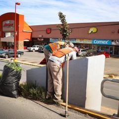 Especial atención Servicios Públicos en limpieza y rehabilitación de parques, plazas y calles
