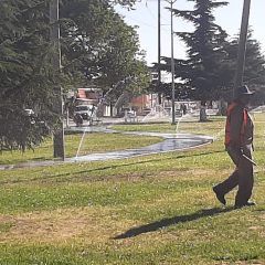 Rehabilita municipio de Cuauhtémoc sistema de riego en el parque San Antonio