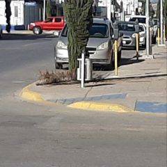 INICIA REFORESTACIÓN DEL CENTRO DE CUAUHTÉMOC