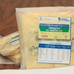 Dispone gobierno municipal de Cuauhtémoc 400 paquetes más de semilla de hortalizas