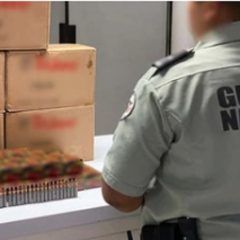 GN y SAT detienen a estadounidense con 5 mil cartuchos para fusiles de asalto