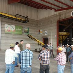 LLEVA DESARROLLO RURAL DE CUAUHTÉMOC 113 TONELADAS DE INSUMOS AGROPECUARIOS A PRODUCTORES DE LÁZARO CÁRDENAS
