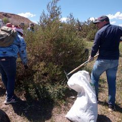 Empleados temporales en cuauhtémoc han recolectado 200 toneladas de basura