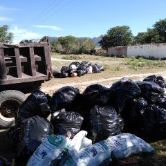 Retira Servicios Públicos maleza y basura en vialidades importantes de Cuauhtémoc