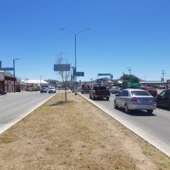 Reforestará servicios públicos de Cuauhtémoc el boulevard Fernando Baeza