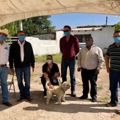 Inicia en Cuauhtémoc semana de vacunación antirrábica canina y felina