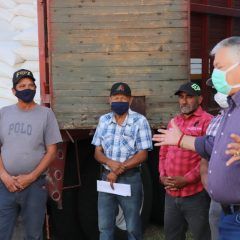 ALIENTA GOBIERNO DE CUAUHTÉMOC A PRODUCTORES GANADEROS CON 200 TONELADAS DE MAÍZ MOLIDO