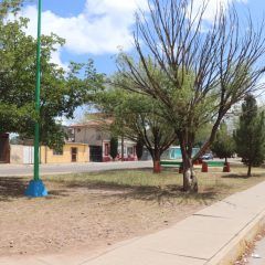TOCA EL TURNO DE EMBELLECEMOS CUAUHTÉMOC EN COLONIAS REFORMA, PERIODISTA Y REPÚBLICA