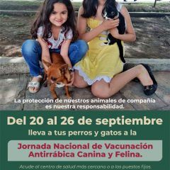 Inicia este domingo campaña nacional de vacunación canina y felina