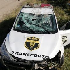 Accidente de tránsito sin lesionados