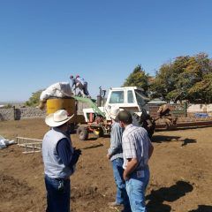 Capacita desarrollo rural de Cuauhtémoc a productores en elaboración de alimento nutritivo con rastrojo.