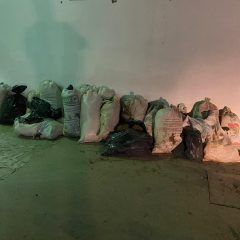 Asegura AEI media tonelada de droga, destruyen pista de aterrizaje y un campamento