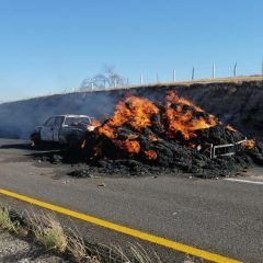 Atiende departamento de bomberos diversos reportes ocasionados por ráfagas de viento.