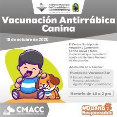 Este sábado habrá campaña de vacunación canina y felina en colonia república