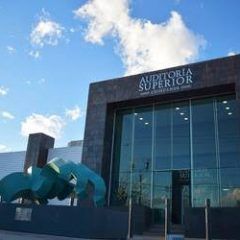 La ASE suspende plazos legales de fiscalización ante la emergencia sanitaria.