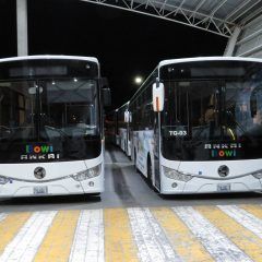 Informa Transporte Bowí que la última vuelta será a las 8 de la noche de lunes a viernes
