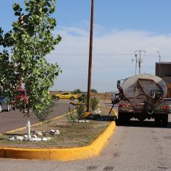 Ha transformado “embellecemos Cuauhtémoc” 87 parques en 21 colonias