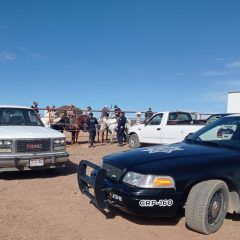 Detecta policía de Álvaro obregón lazada de caballos en ejido arroyo del agua.