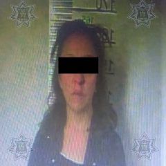 Detiene policía municipal a una persona por robo en Materiales del Norte