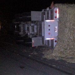 Volcadura de trailer con pacas de pastura