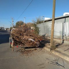 Gobierno municipal de Cuauhtémoc limpia barrio lerdo y fraccionamiento Montecarlo