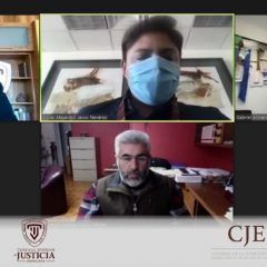 Reactiva TSJ audiencias y notificaciones presenciales en asuntos no urgentes