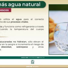Llama IMSS a adoptar hábito de sustituir refresco por agua
