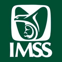 Instrumenta IMSS acciones prioritarias para impulsar trasplante de donador vivo-relacionado en pacientes pediátricos