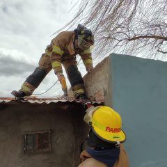 Atendió protección civil de Cuauhtémoc reportes de daños por vientos