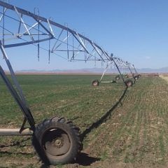 Ladrones se roban cable eléctrico del pivote con valor de 20 mil pesos