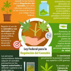 Piden diputados panistas al Congreso de la Unión aplazar la aprobación de la Ley Federal para la Regulación del Cannabis