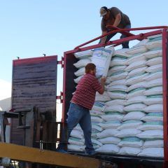 Concluye desarrollo rural inscripciones al programa de maíz molido subsidiado.