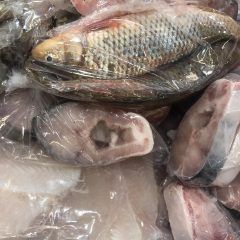 Implementa gobernación municipal operativo para inhibir venta de mariscos en la vía pública