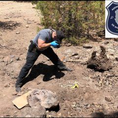 Localiza FGE ZO restos óseos durante rastreo en predios de Carichi
