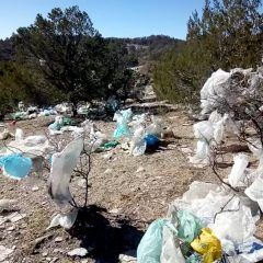 En pro de la salud animal, brigadas de servicios públicos limpian entorno del basurero