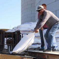 Incrementa gobierno municipal apoyos alimenticios para hatos ganaderos