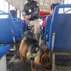 Inicia policía municipal operativos de prevención en transporte público