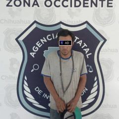 Asegura AEI ZO tráiler y detiene a chofer por carga ilegal de madera
