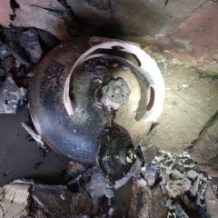 Explota tanque de gas en vivienda